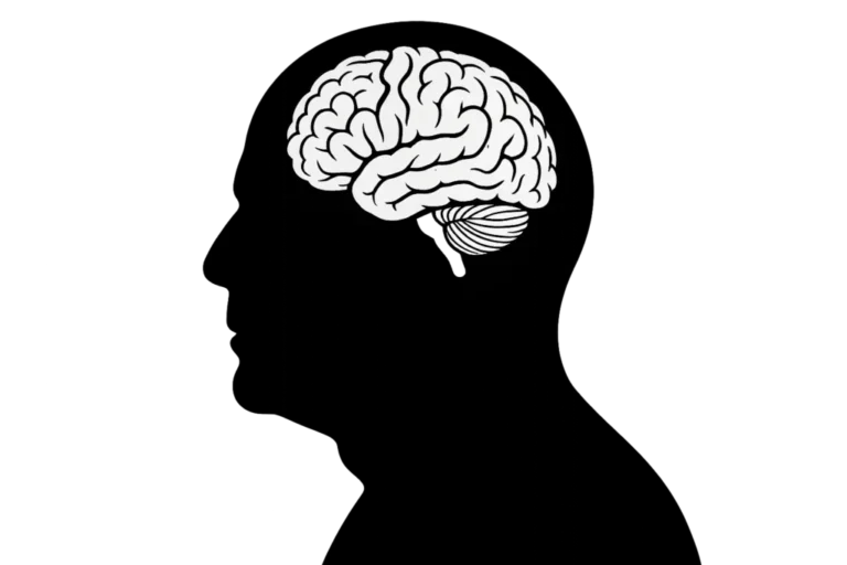 Emma Heming-Willis will das Gehirn von Bruce Willis für die Forschung spenden